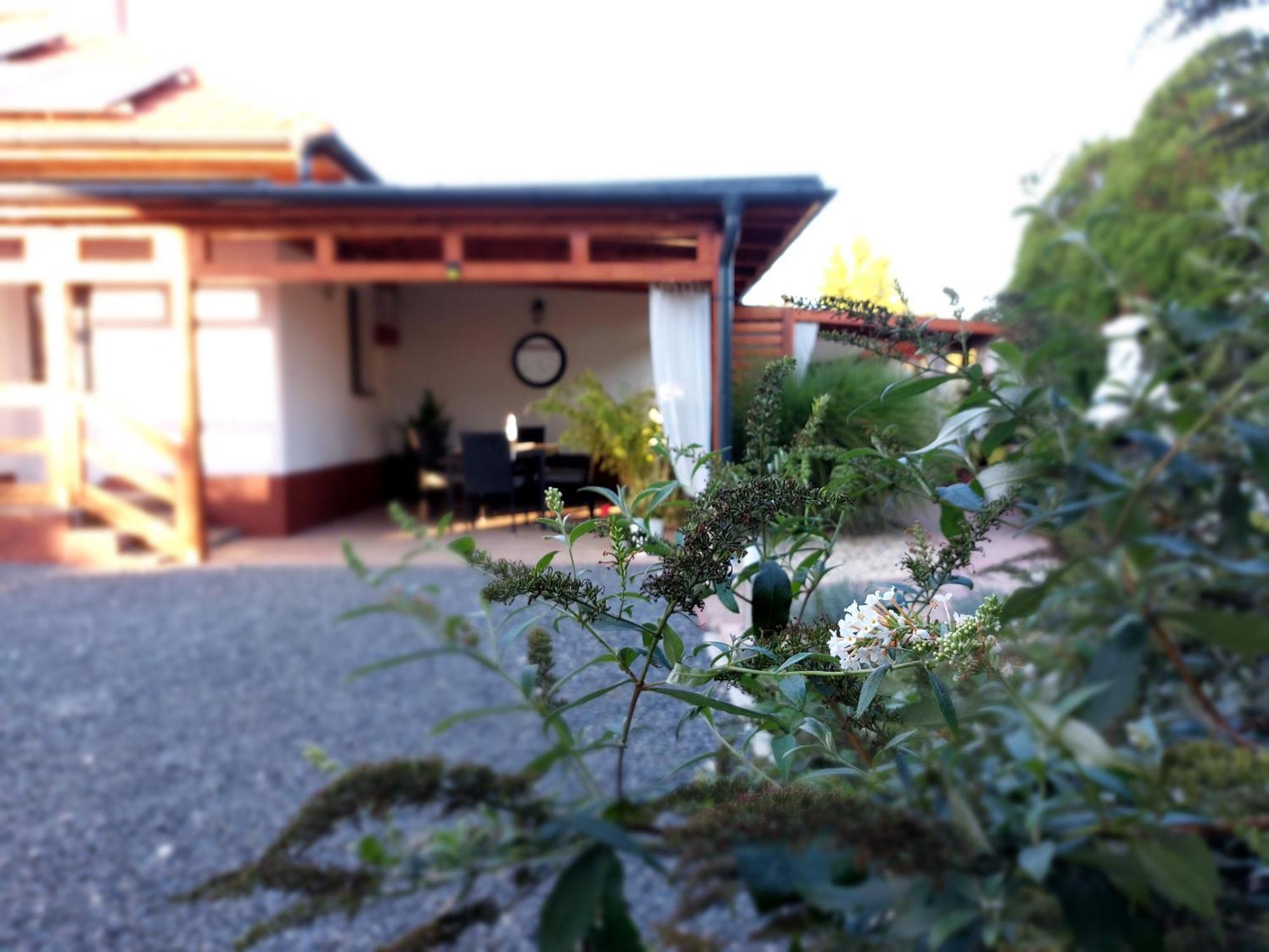 Tulipan Vendeghaz Leilighet Sárospatak Eksteriør bilde